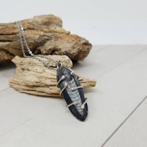 Mens Fossil Necklace, Prehistoric Orthoceras Nautiloid Fossil, Mixed Metal Pendant